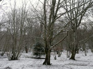 img-20180318-wa0006