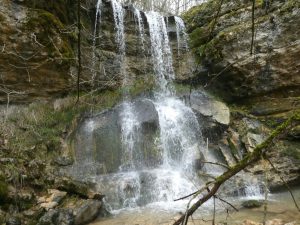 img-20180415-wa0013