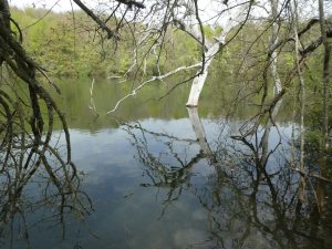 img-20180422-wa0017