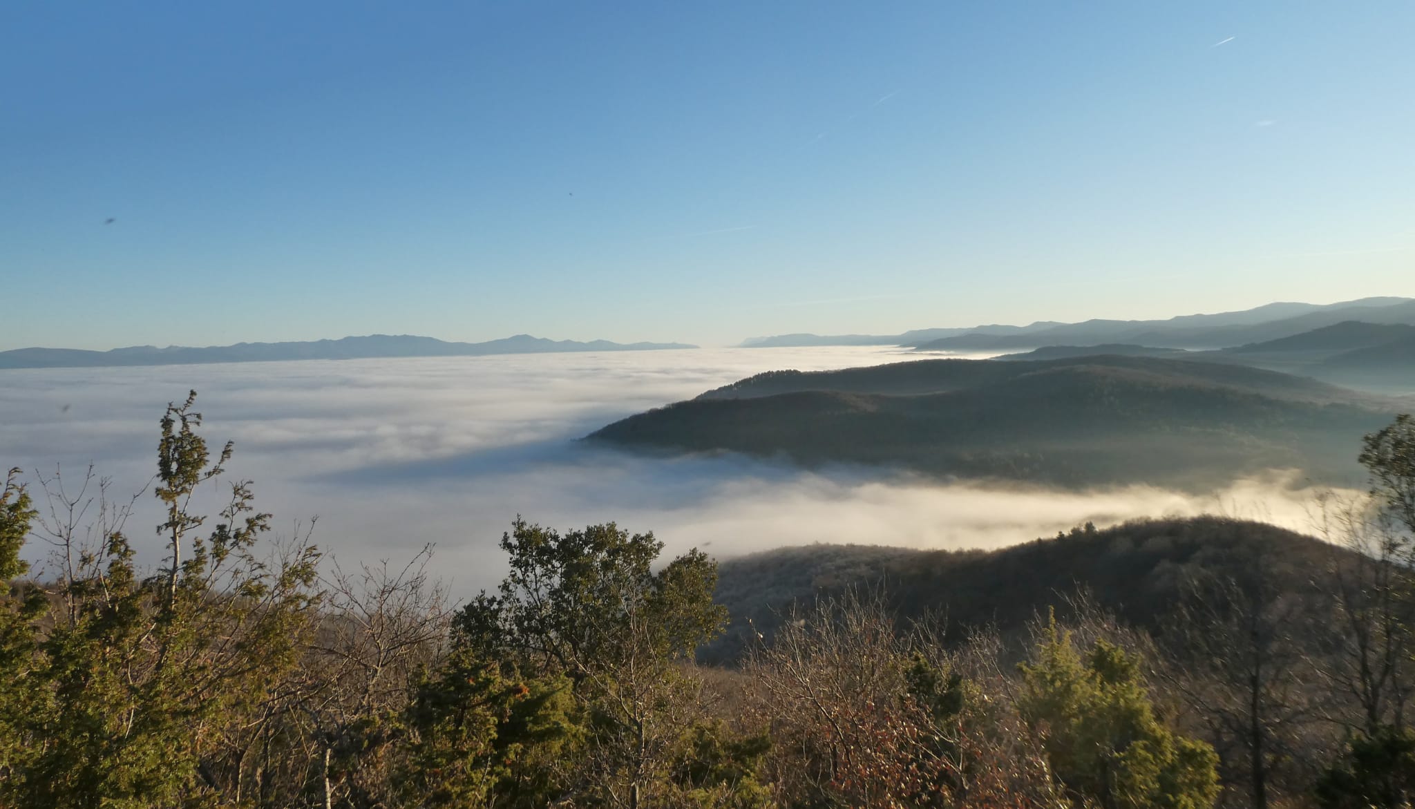 img-20191231-wa0015