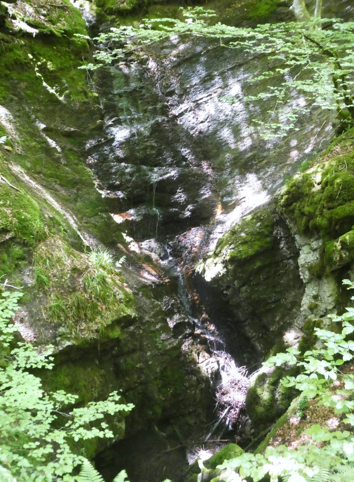 IMG-20210606-WA0015