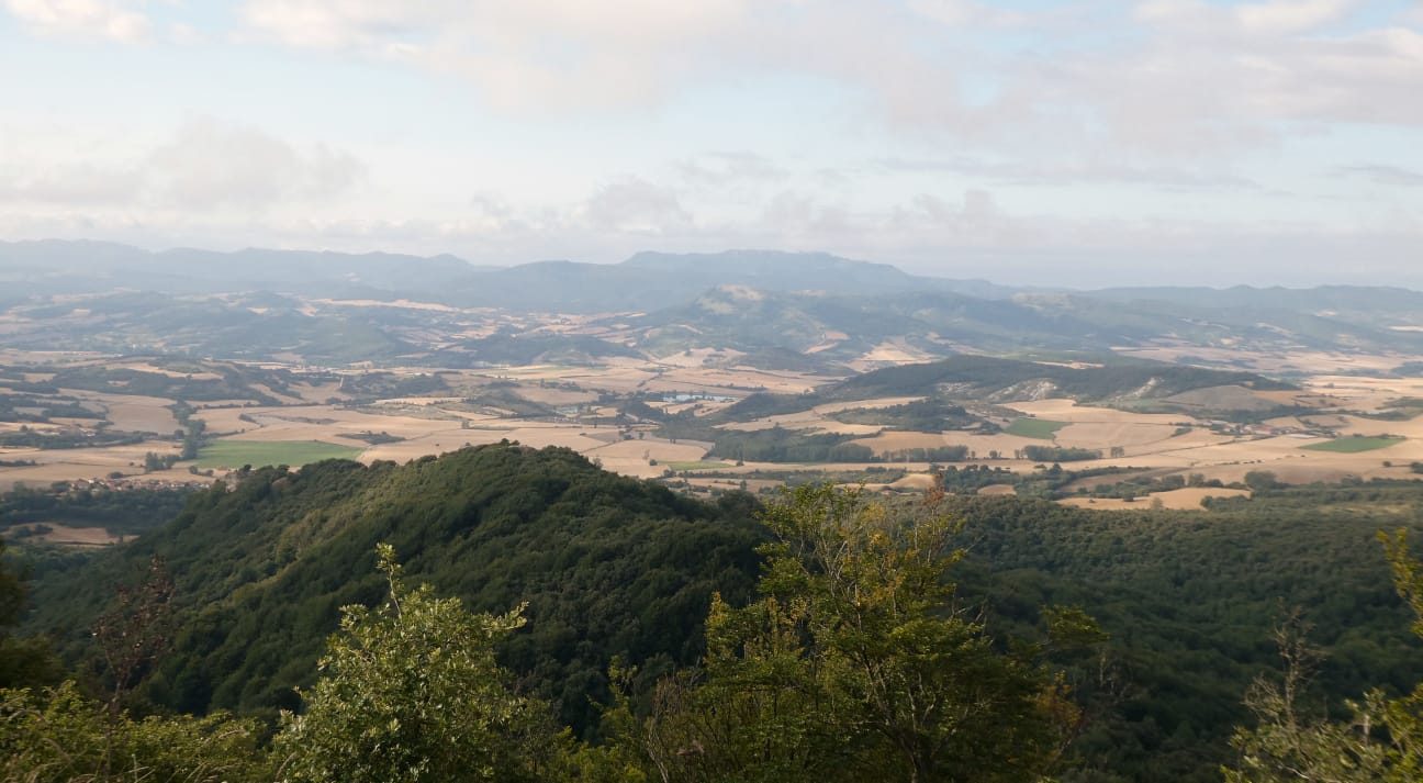 IMG-20210808-WA0011