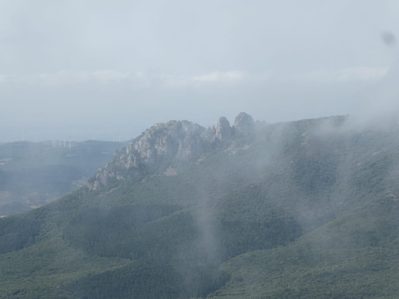 IMG-20210815-WA0009