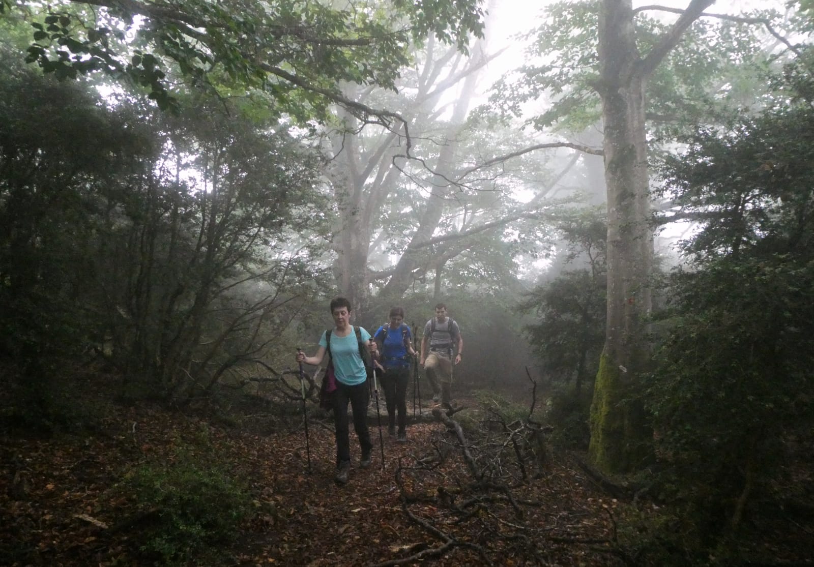 IMG-20210815-WA0011
