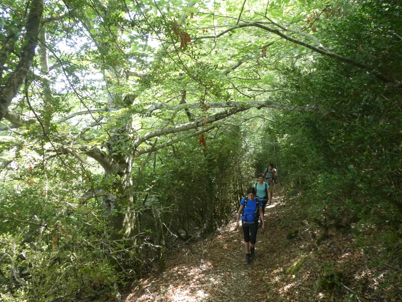IMG-20210815-WA0017