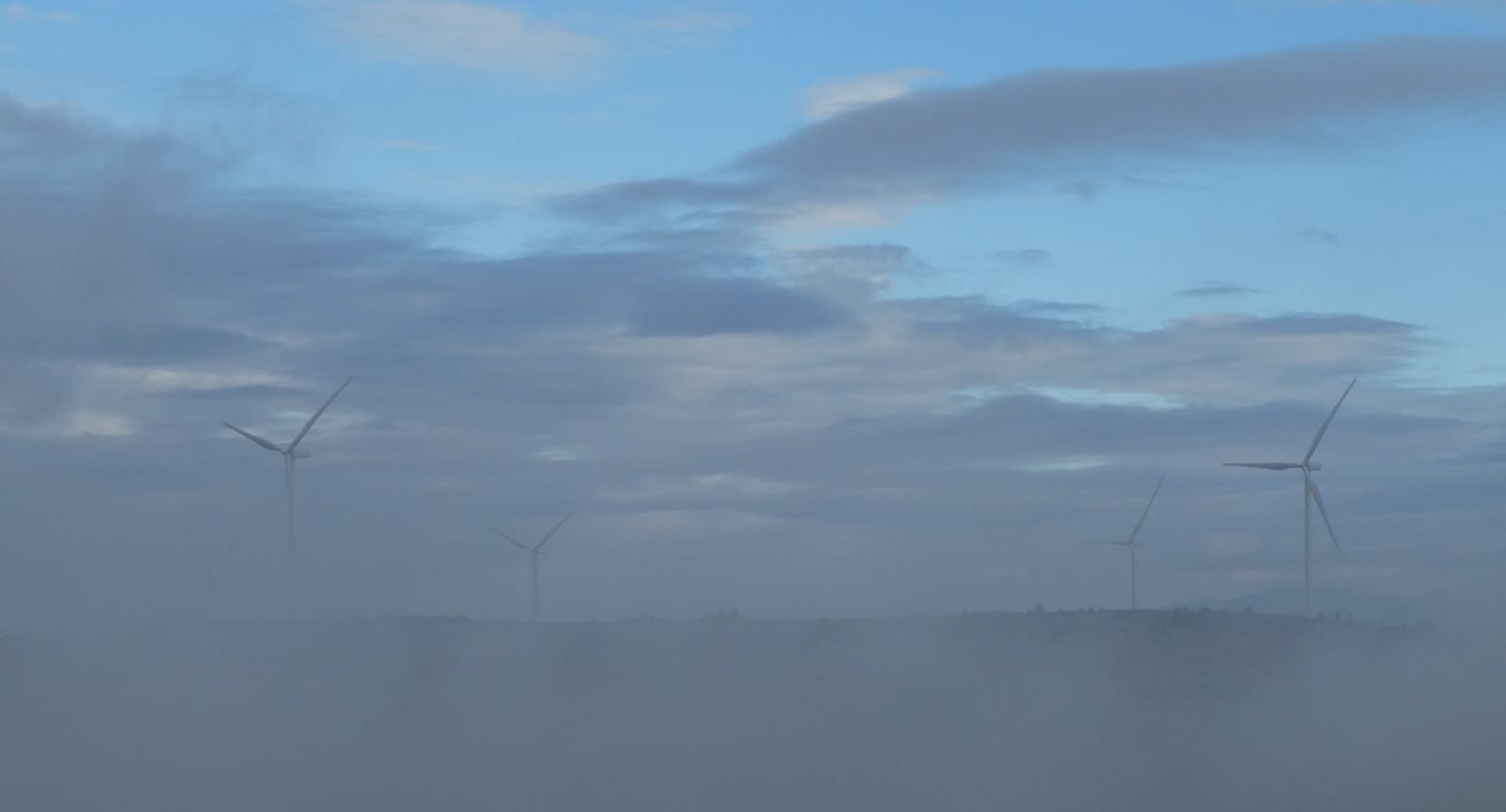 IMG-20211017-WA0002