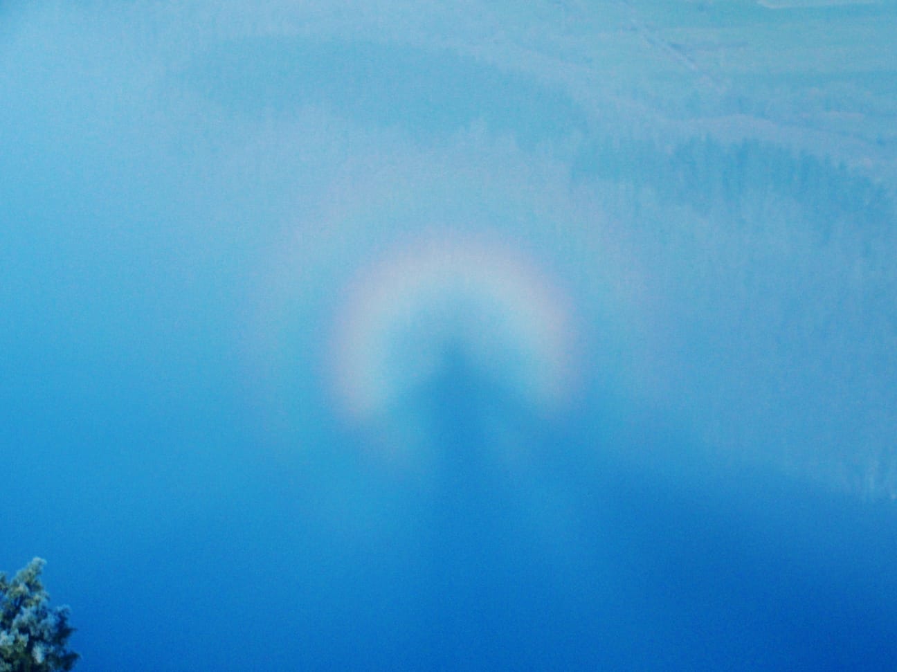 IMG-20211219-WA0020