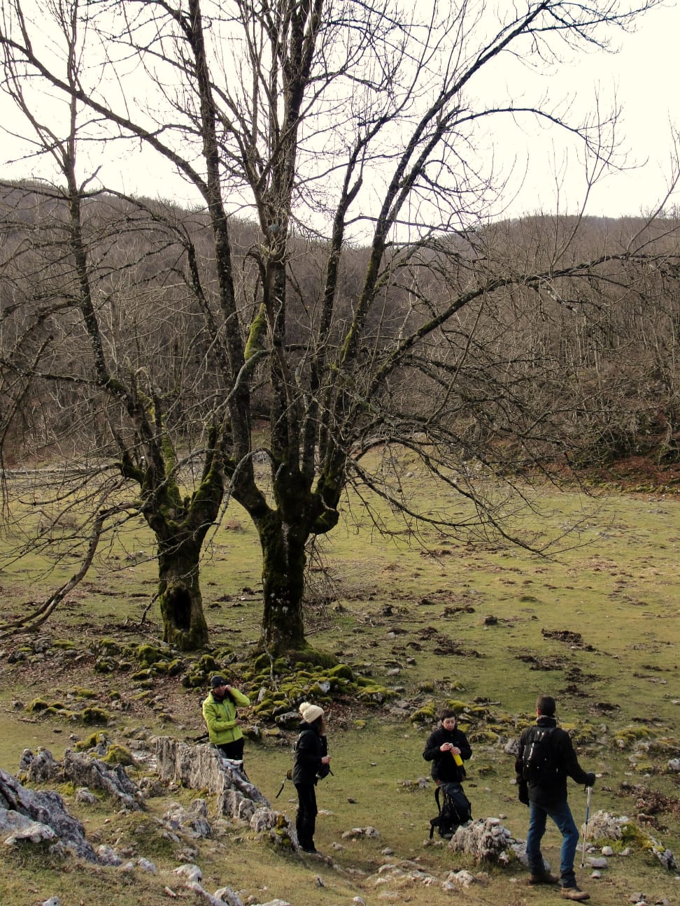 IMG-20220206-WA0012