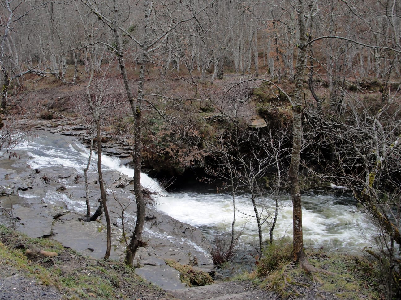 IMG-20220306-WA0015