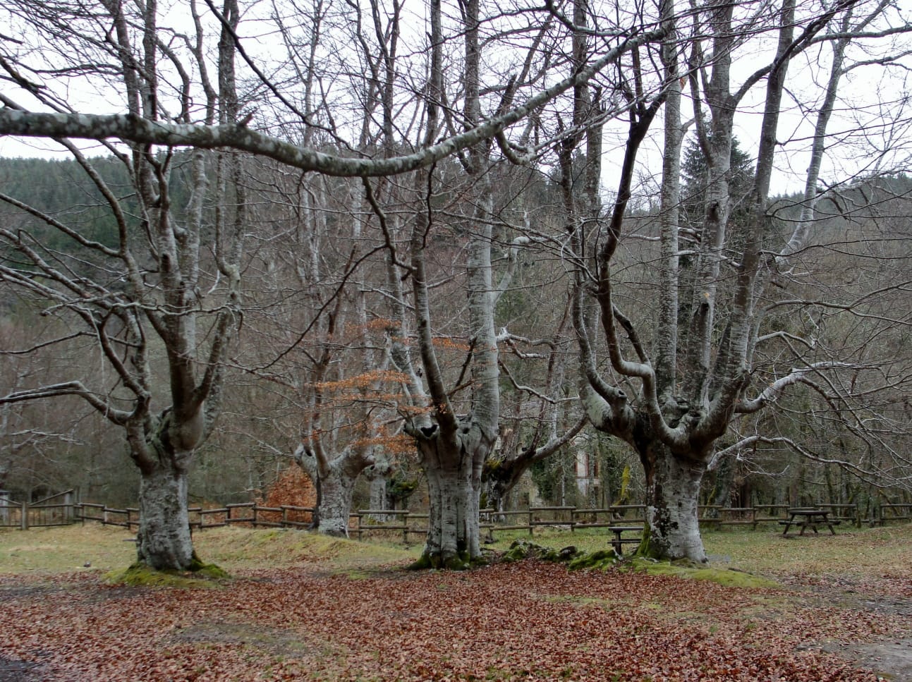 IMG-20220306-WA0016