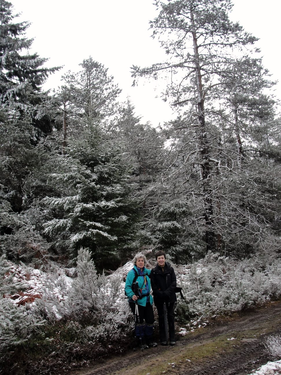 IMG-20220306-WA0019