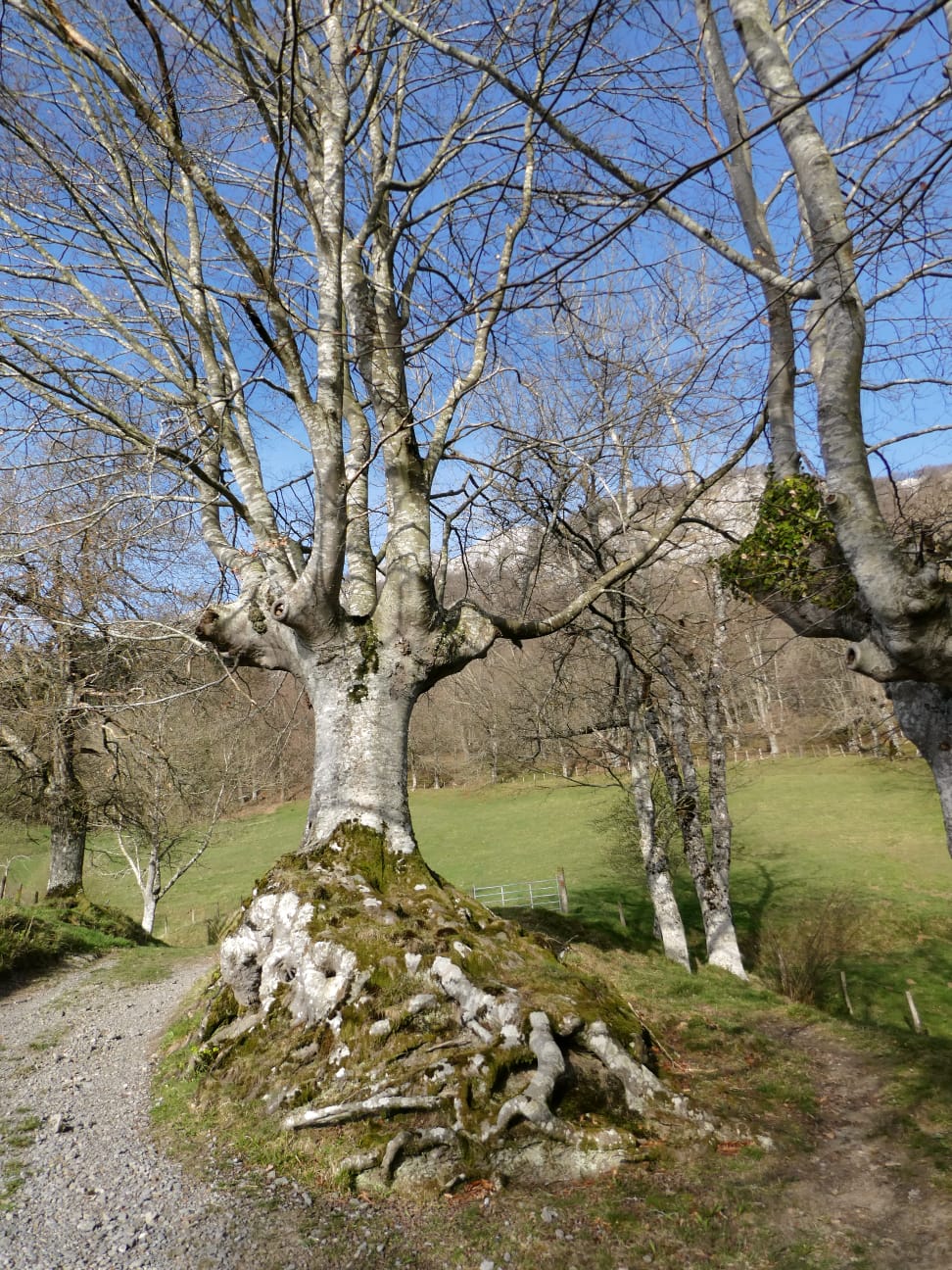 IMG-20220327-WA0000