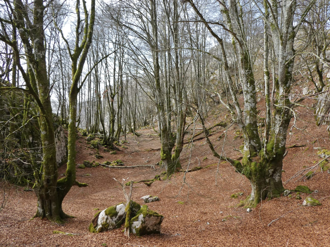 IMG-20220327-WA0007