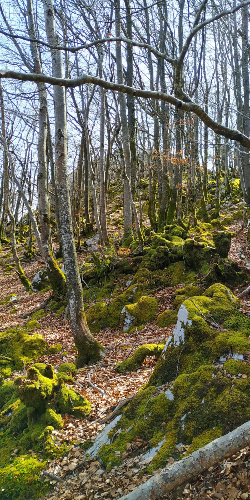 IMG-20220327-WA0010