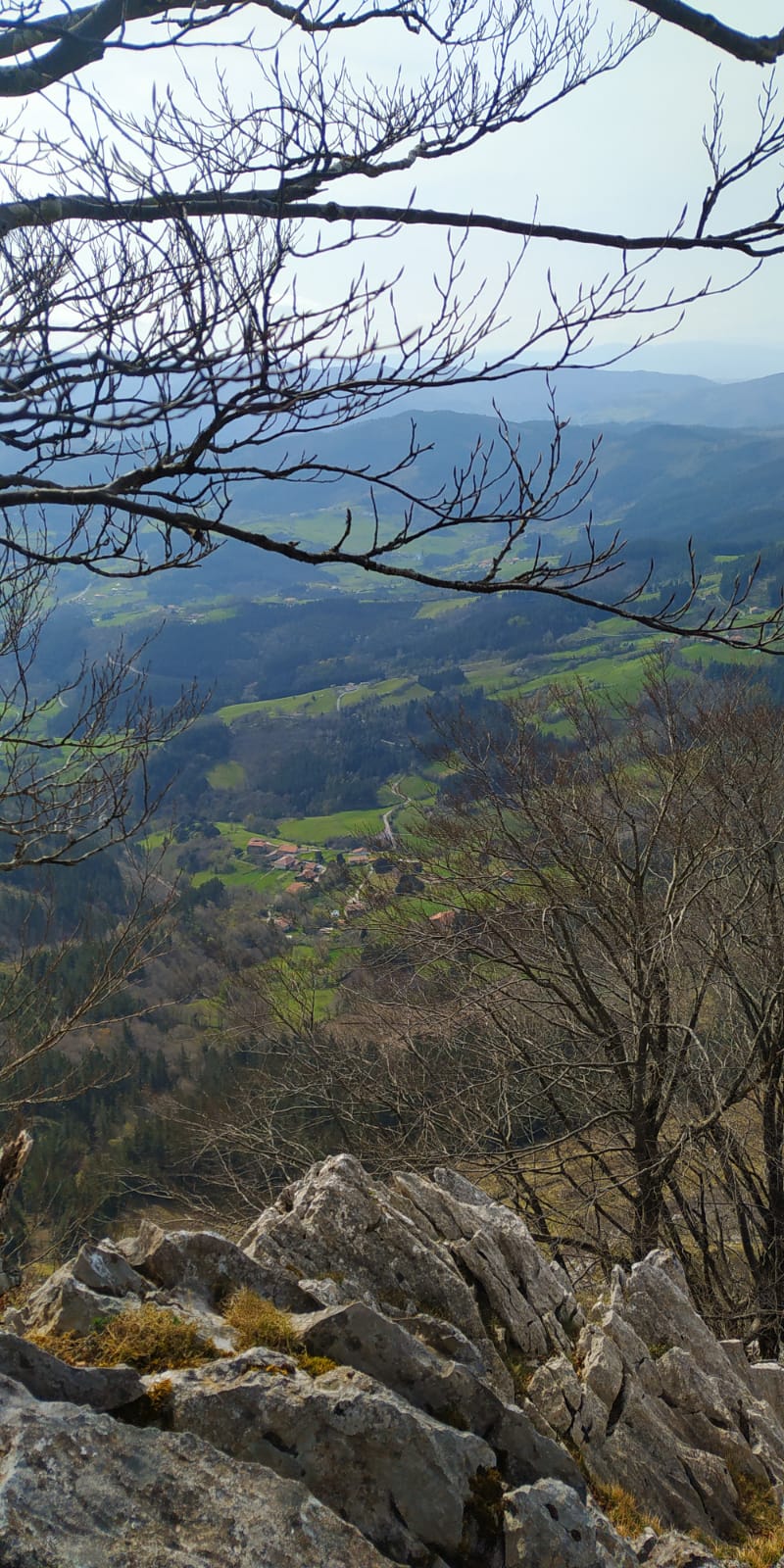 IMG-20220327-WA0011