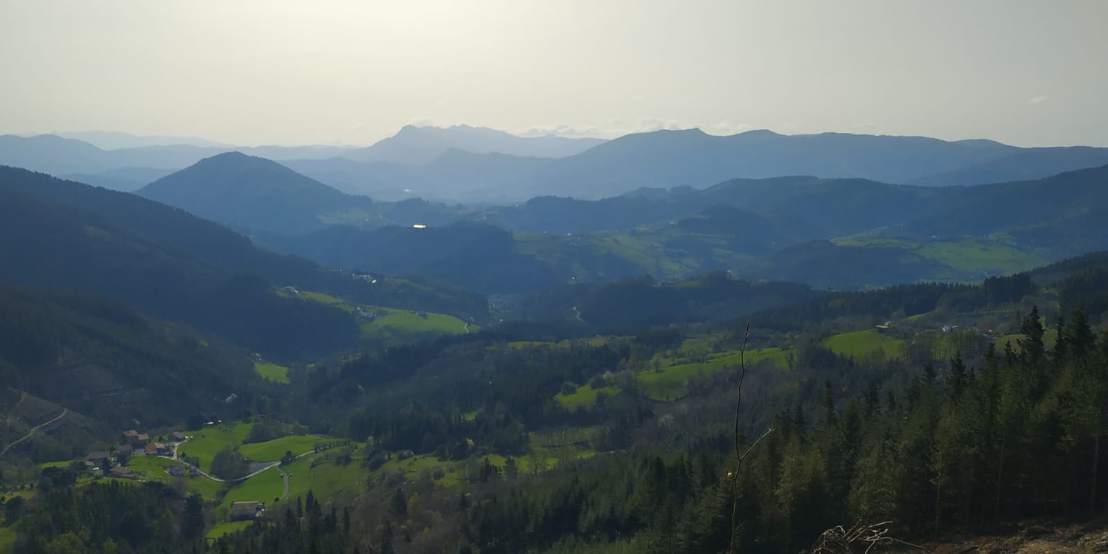 IMG-20220327-WA0012