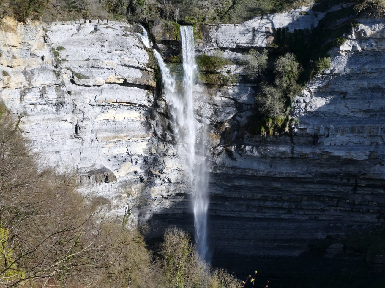 IMG-20220410-WA0005