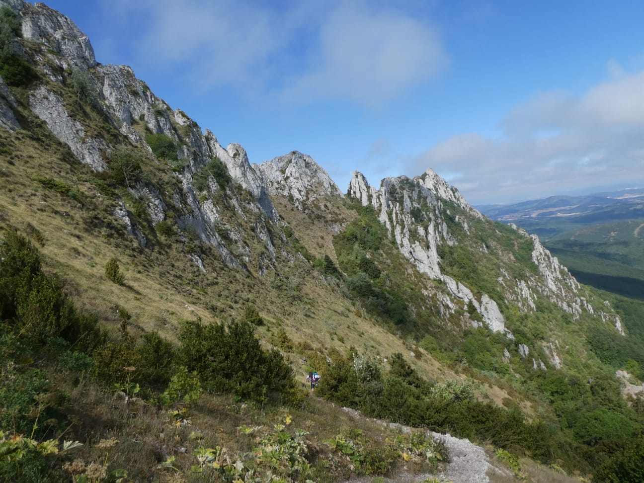 IMG-20220731-WA0039