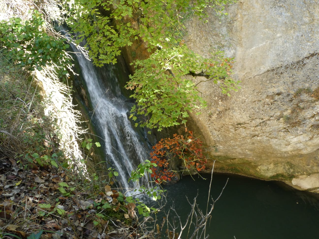 IMG-20221002-WA0008