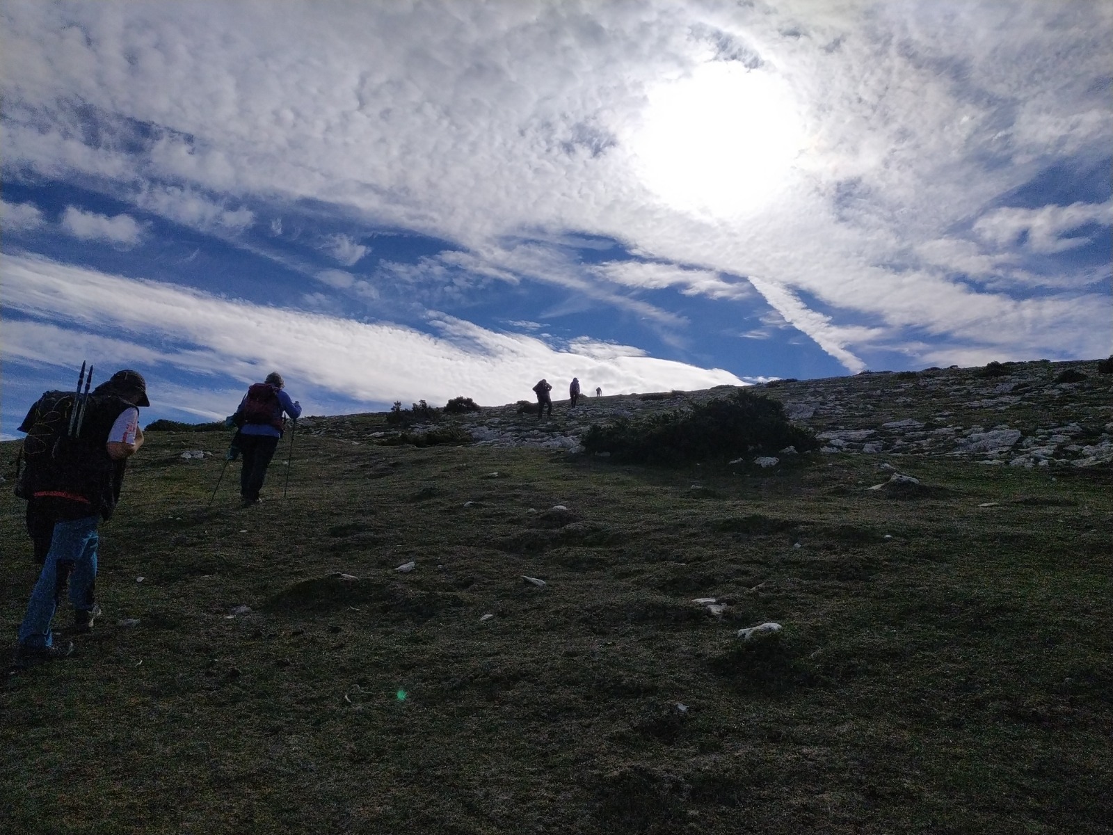IMG-20221106-WA0018