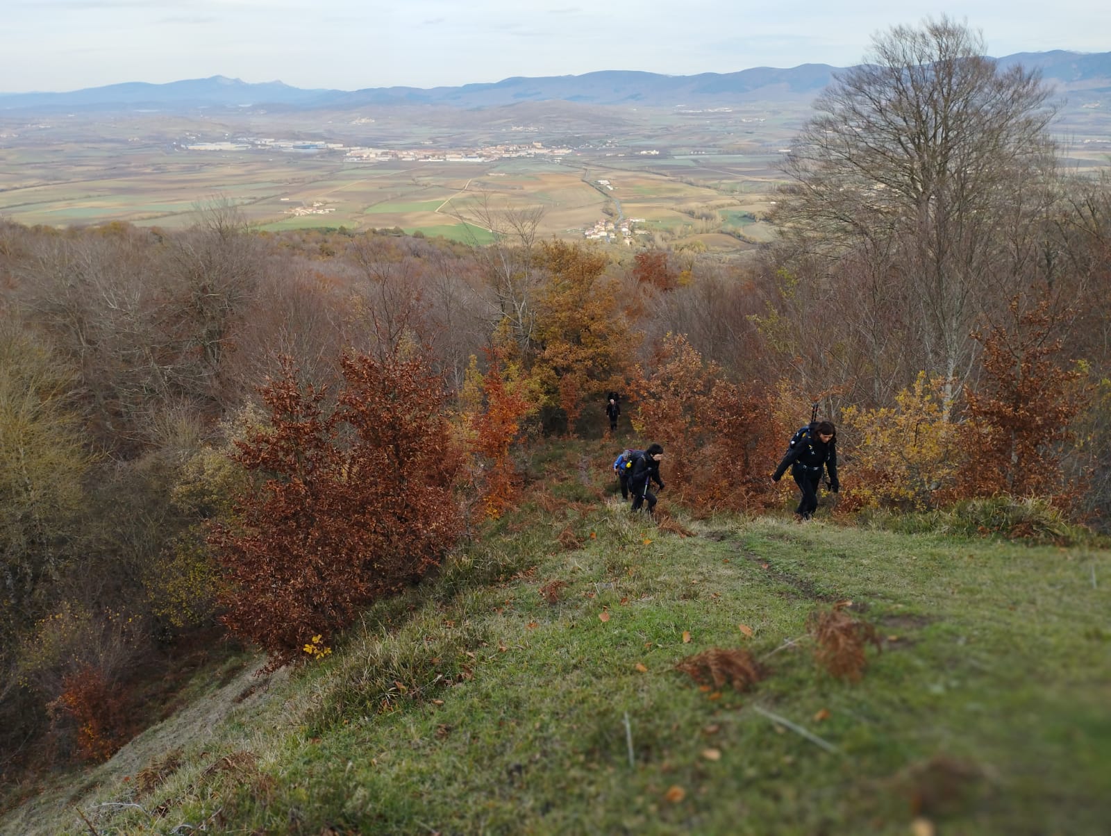 IMG-20221127-WA0017