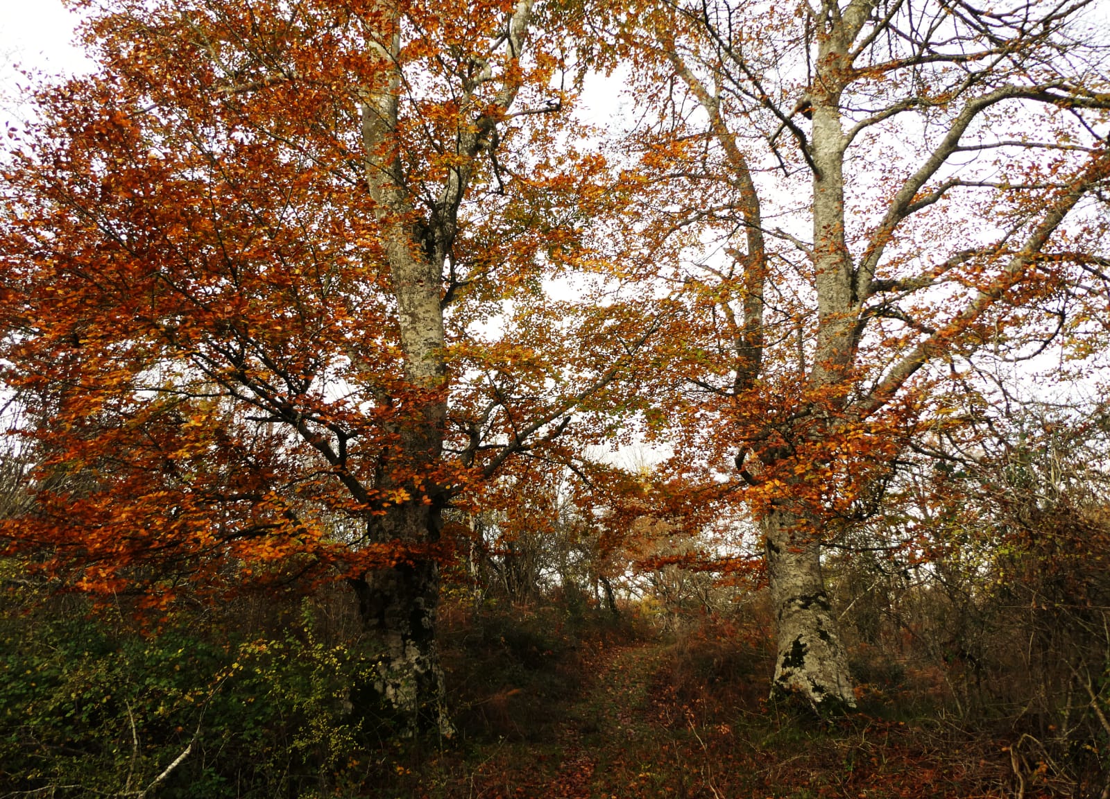 IMG-20221127-WA0020