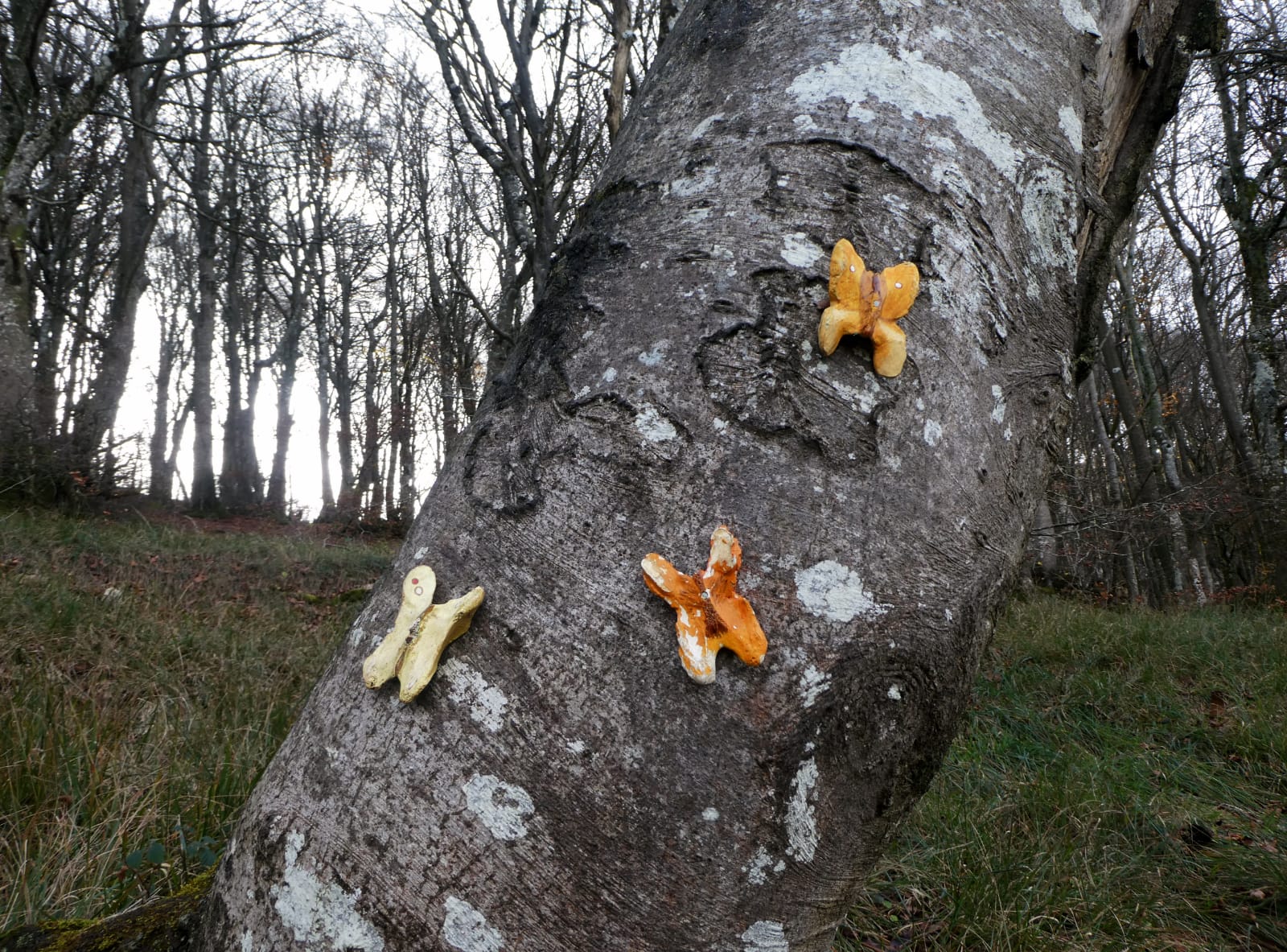 IMG-20221127-WA0025