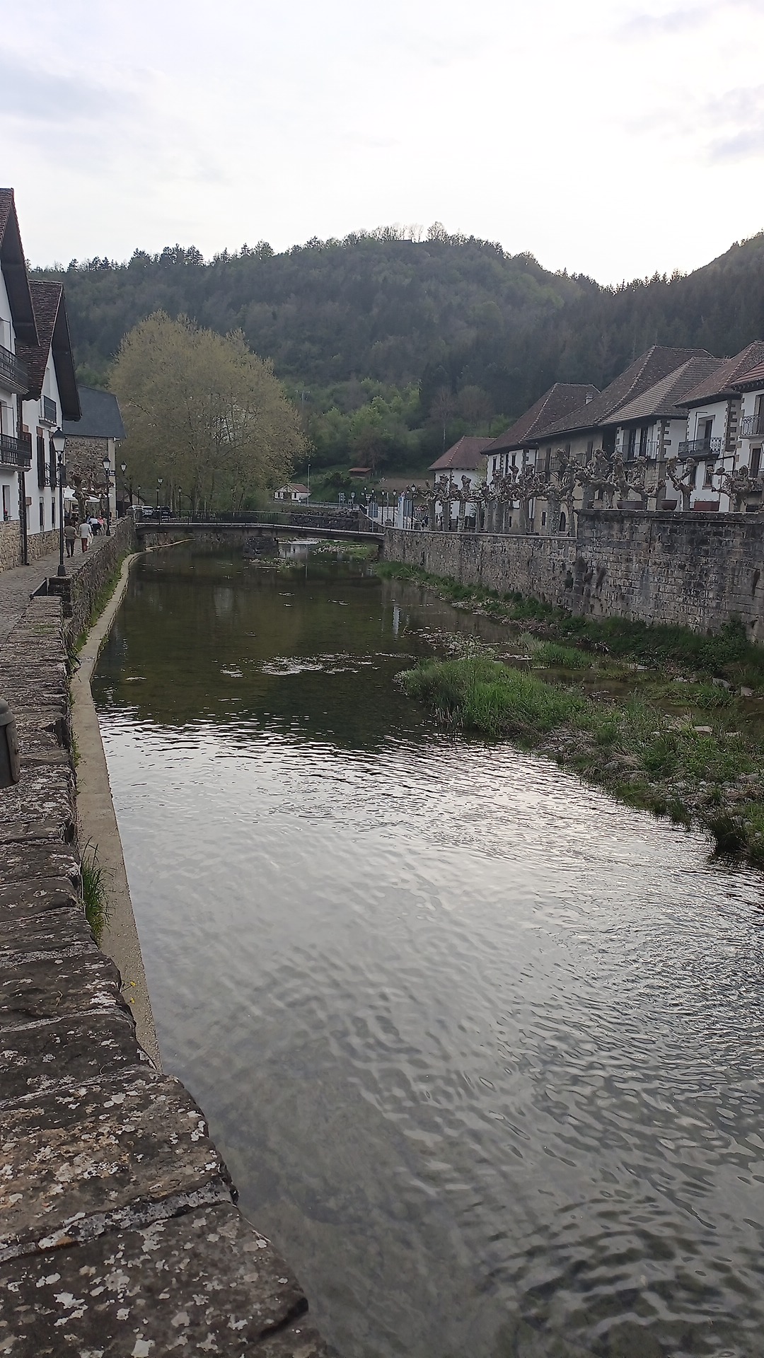 IMG-20230428-WA0008