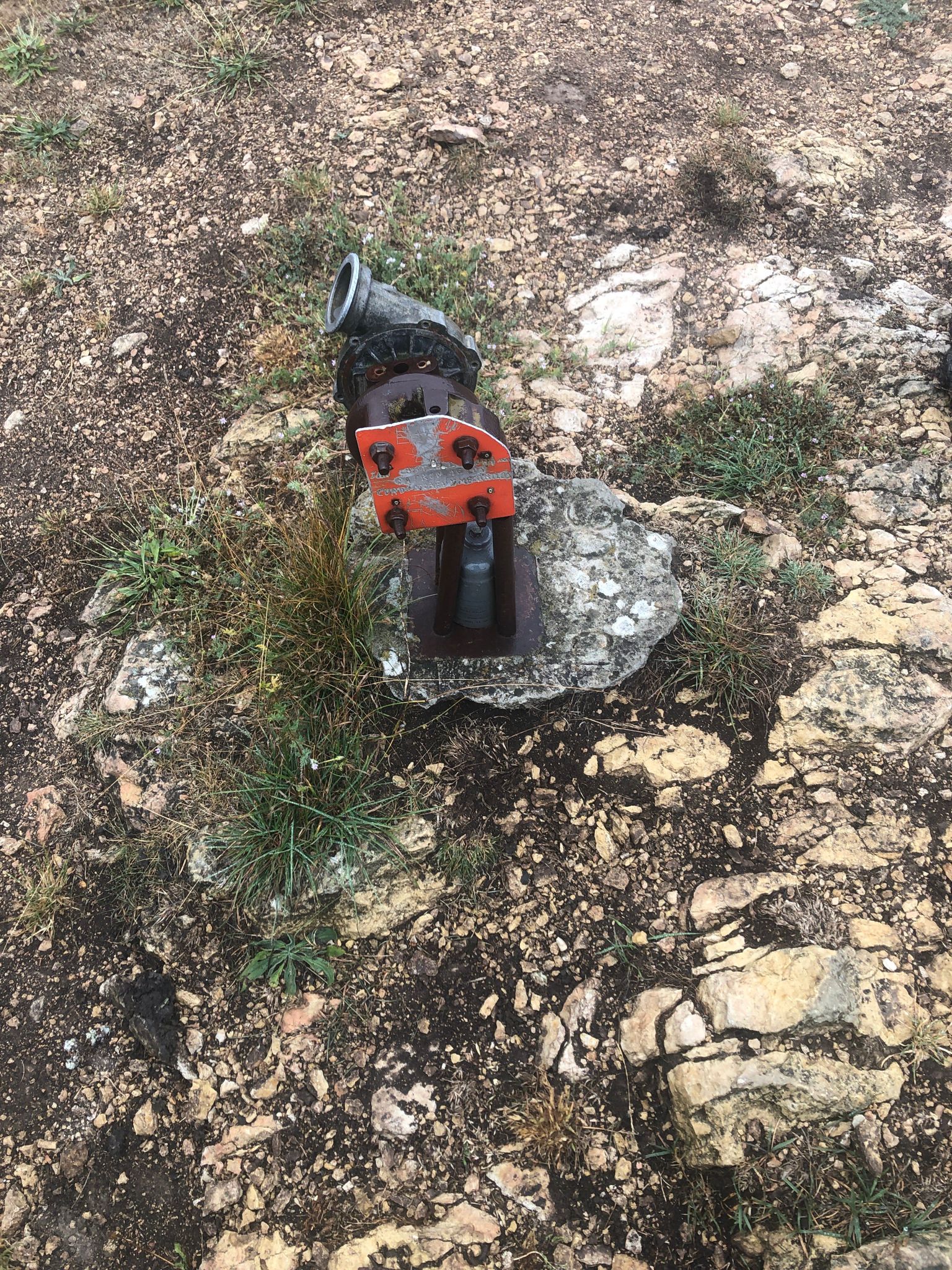 IMG-20230730-WA0015