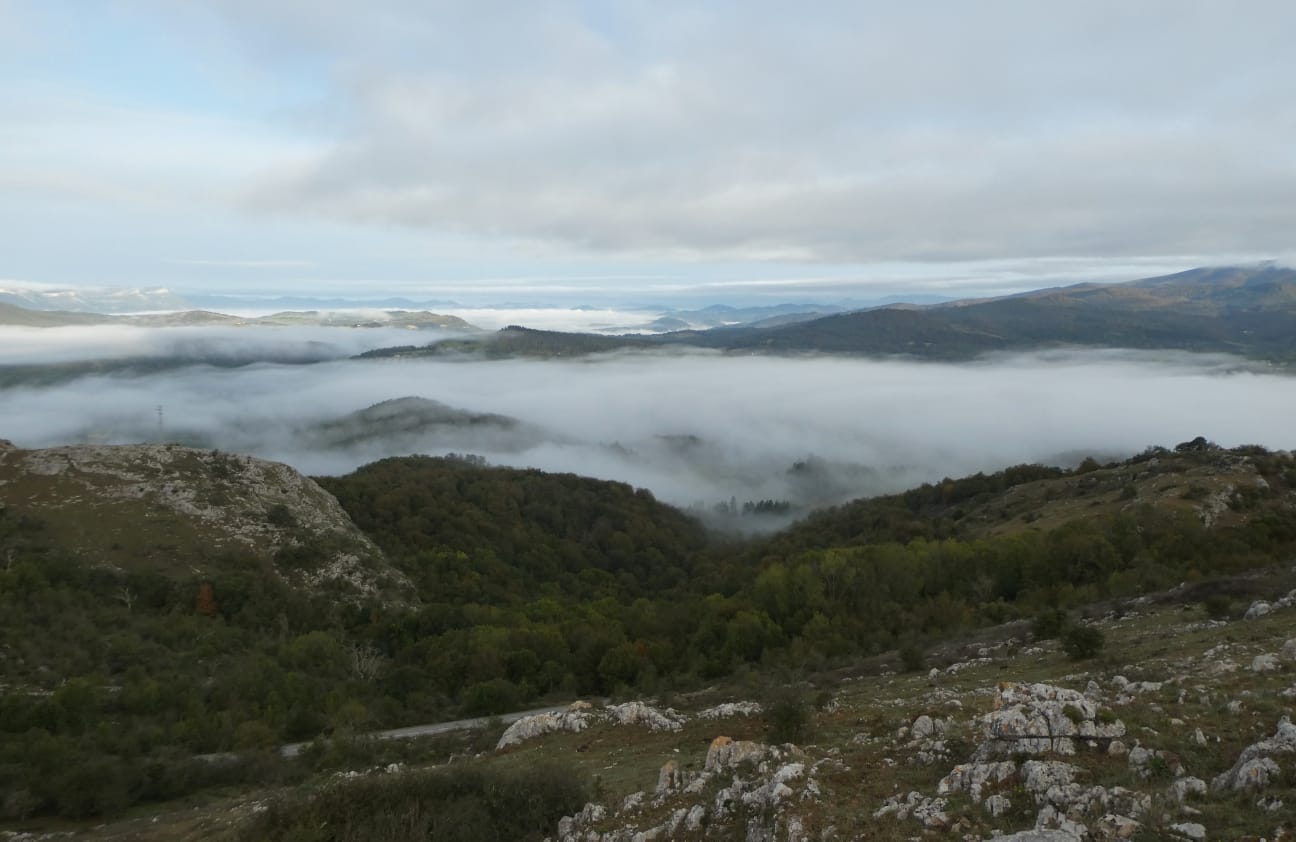 IMG-20231015-WA0009