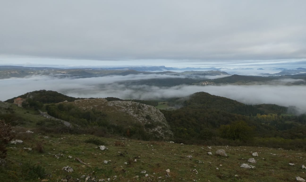 IMG-20231015-WA0011