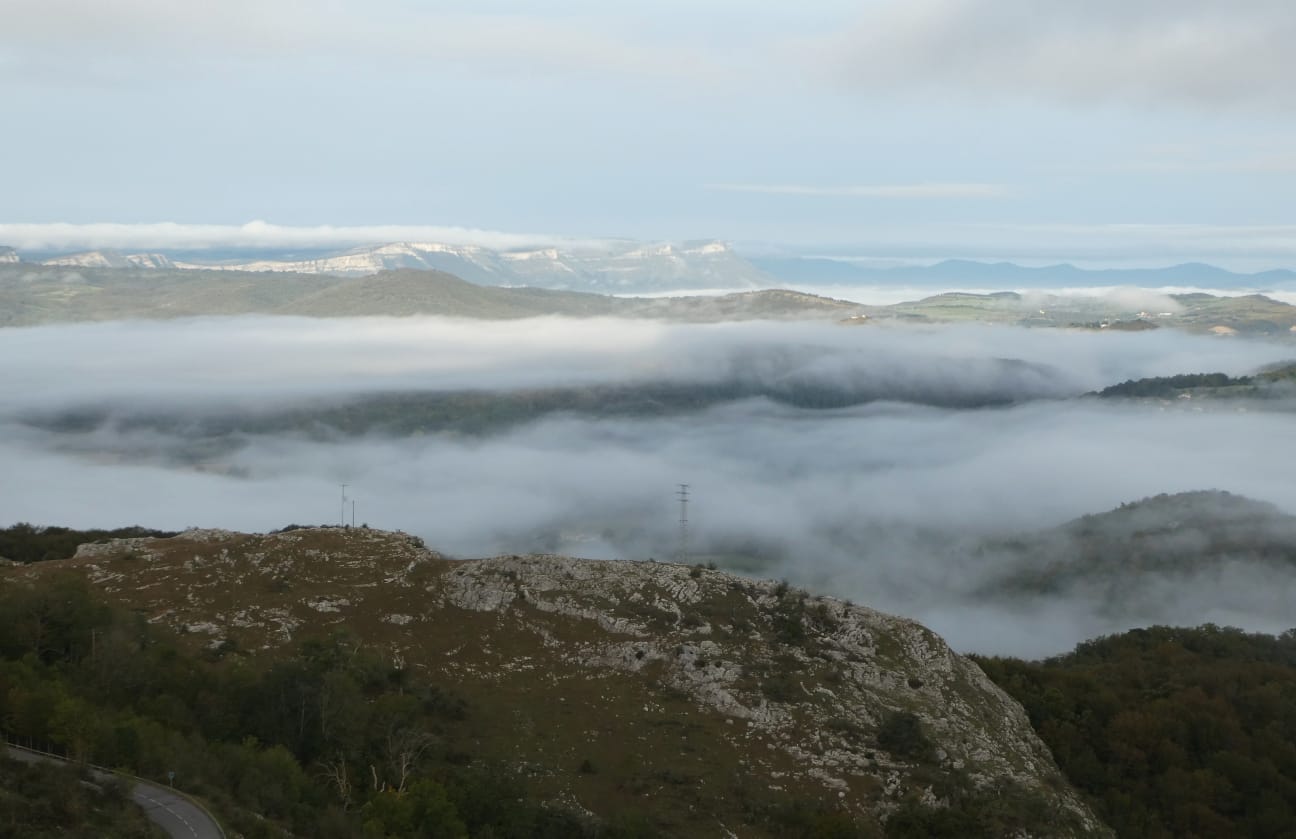 IMG-20231015-WA0012