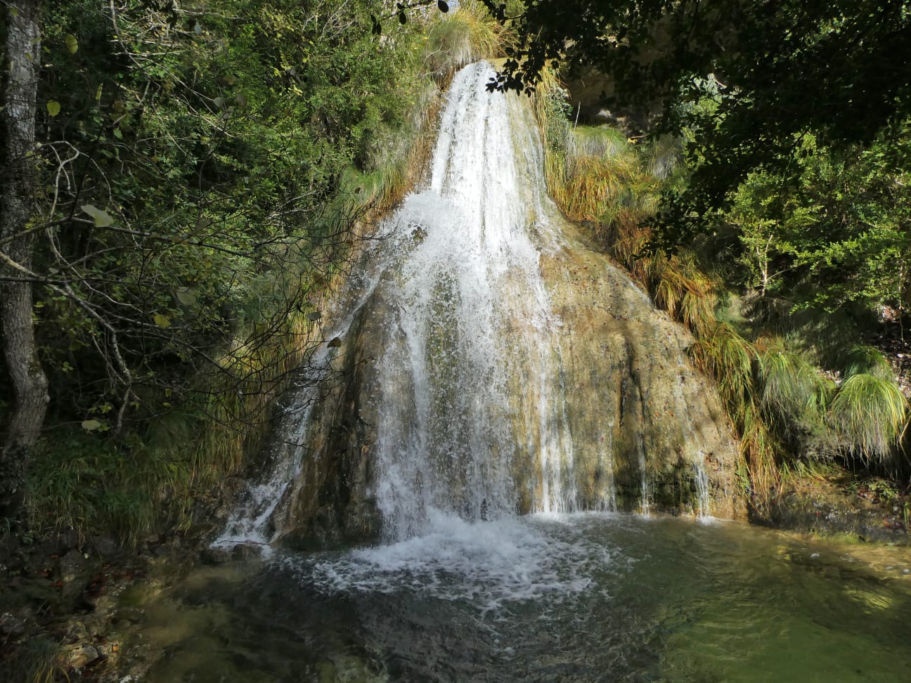 IMG-20231112-WA0007