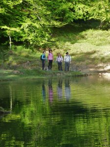 IMG-20240526-WA0015