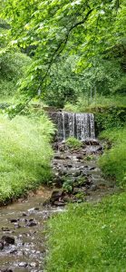 IMG-20250615-WA0012