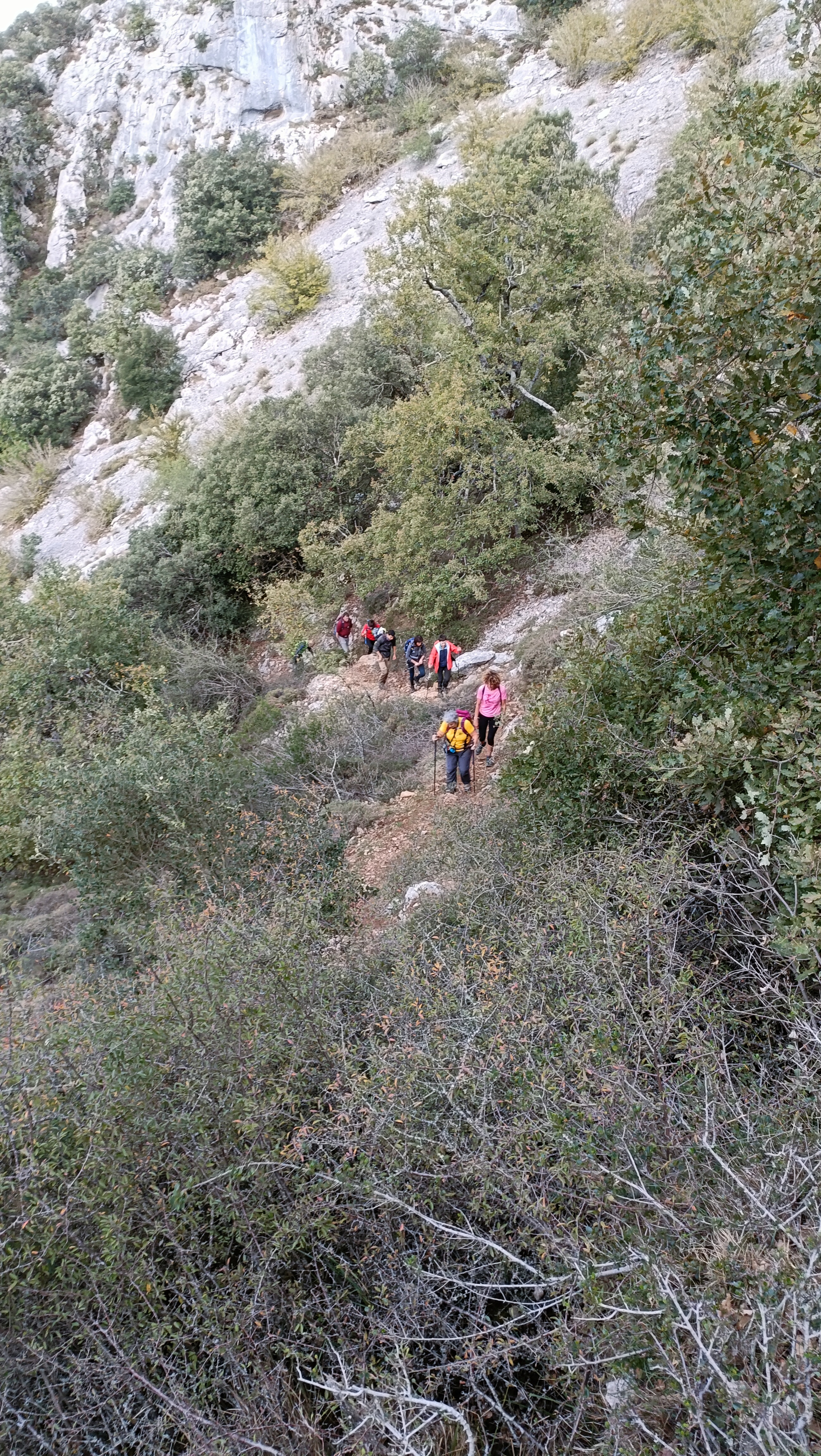 IMG20221023090827