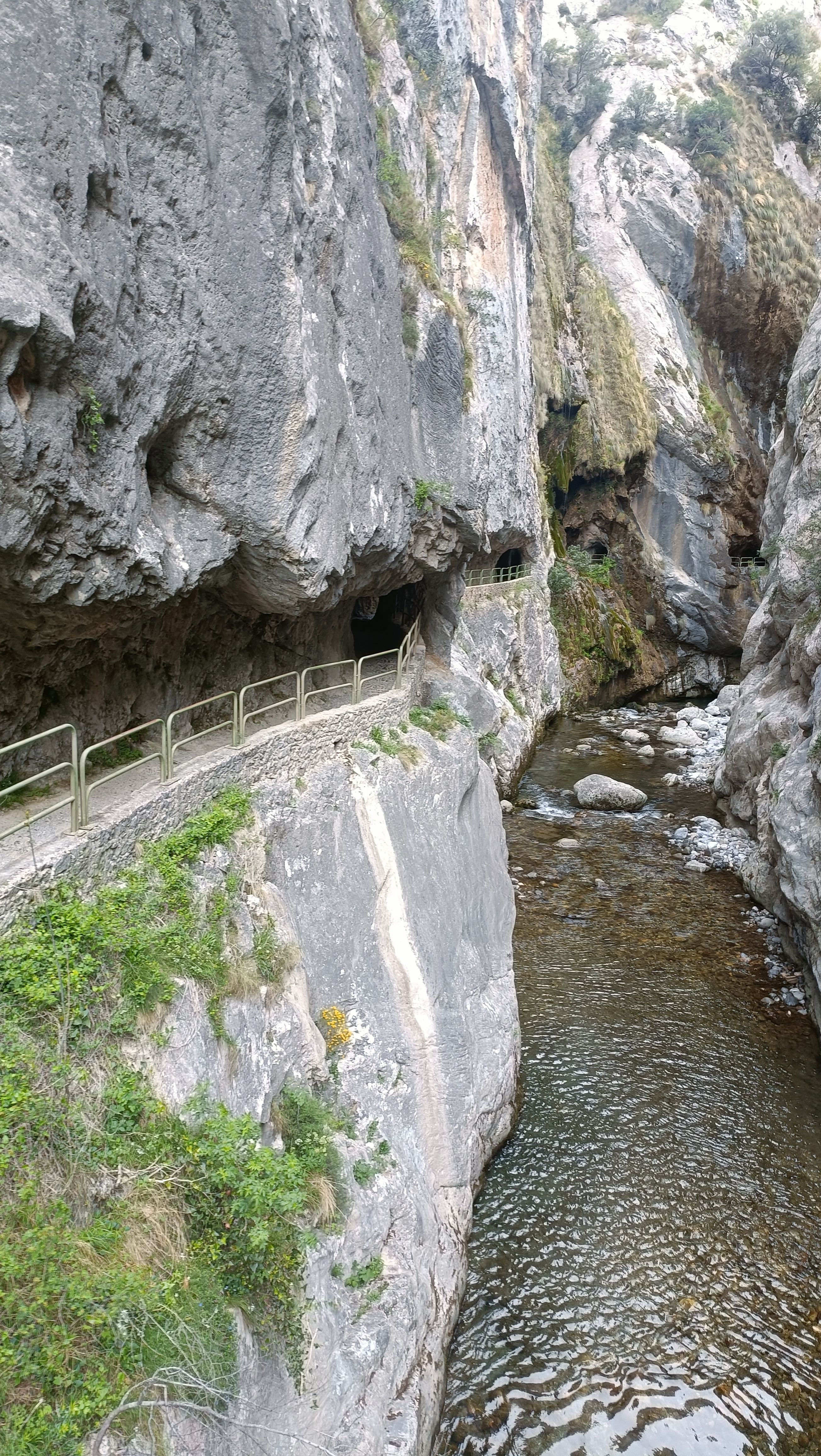 IMG20260427104828