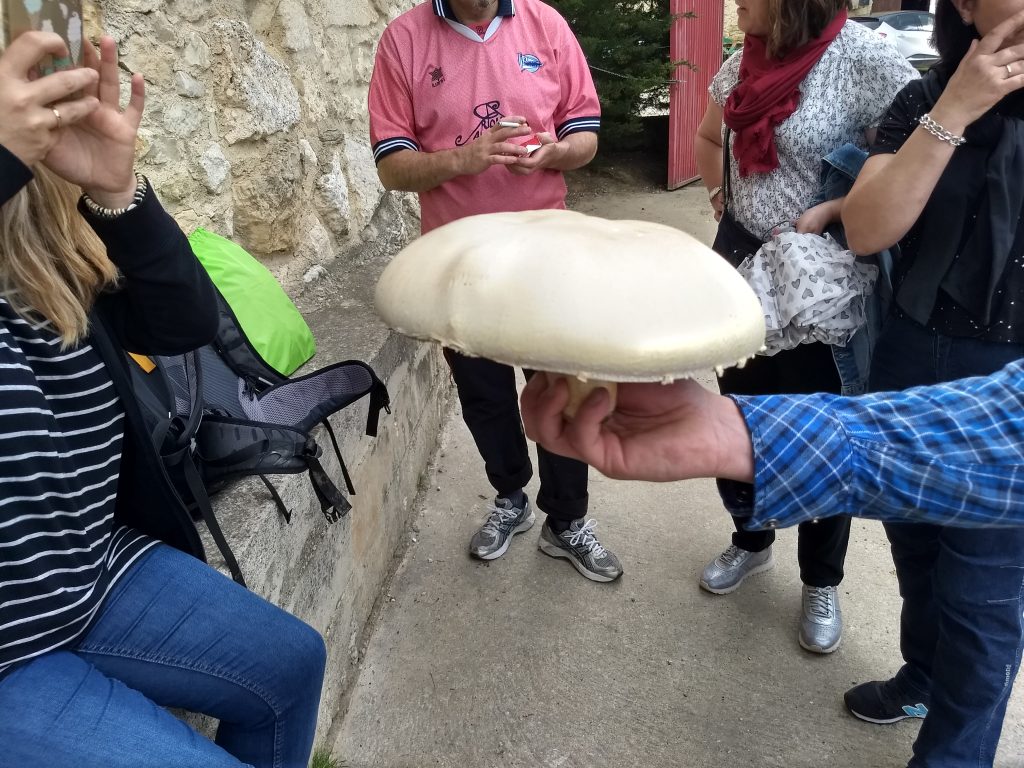 img_20180603_135404469_hdr