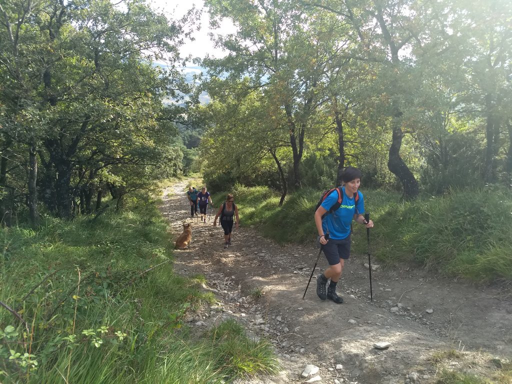 img_20180909_095144910