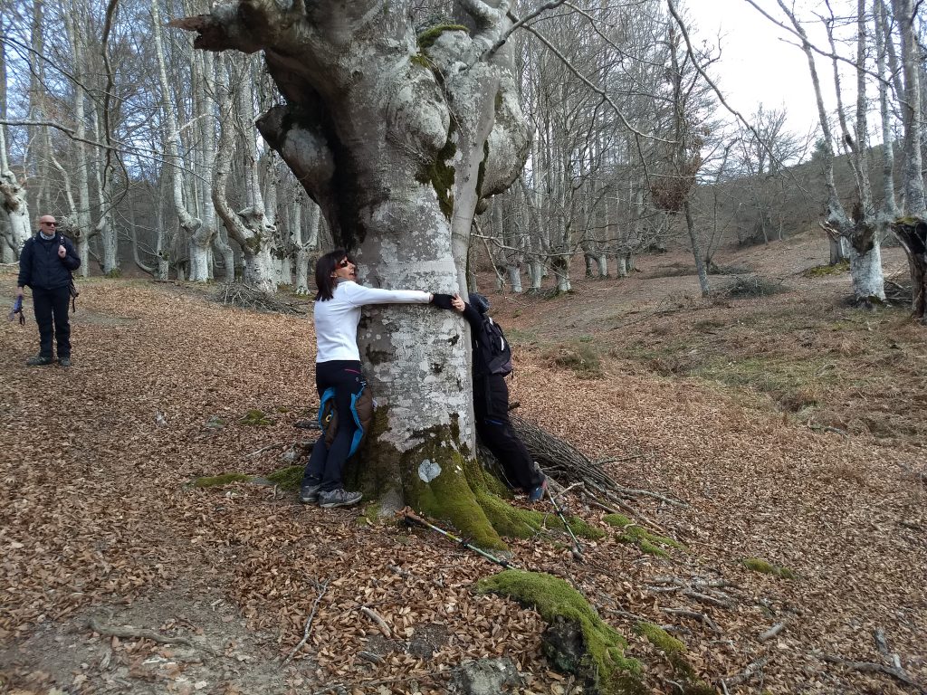 img_20190303_093750251