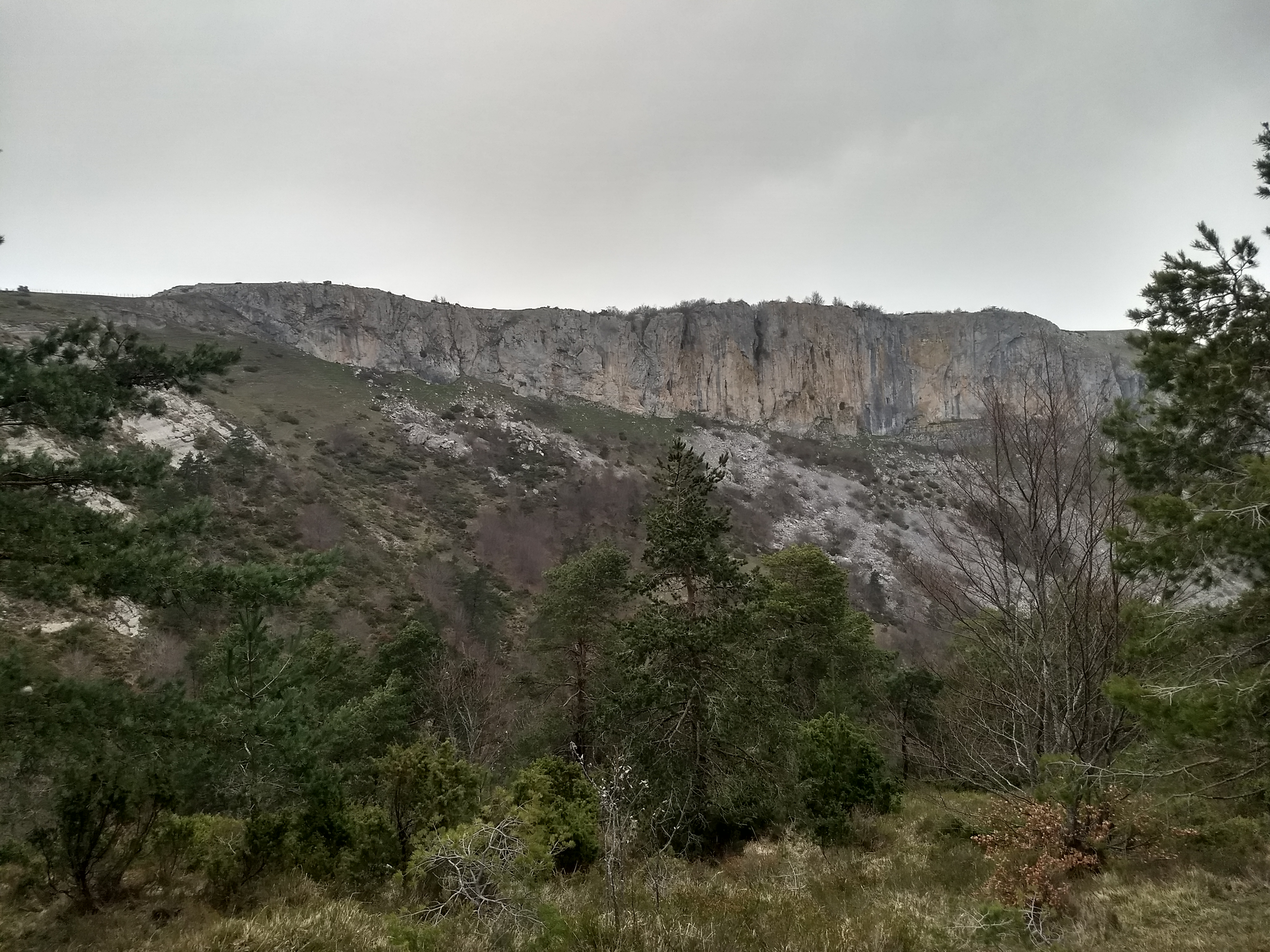 IMG_20210221_093917331_HDR