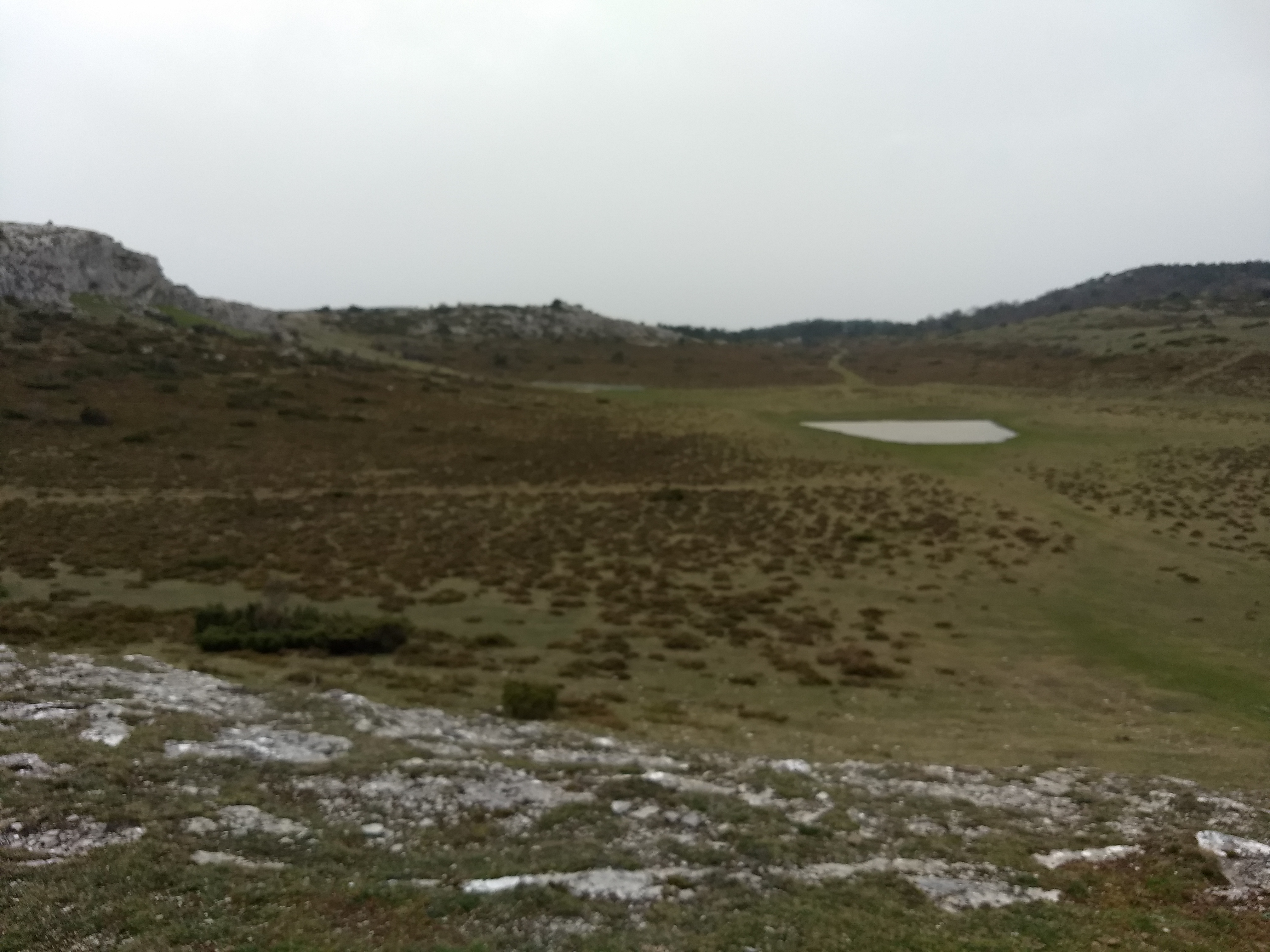 IMG_20210221_120218194