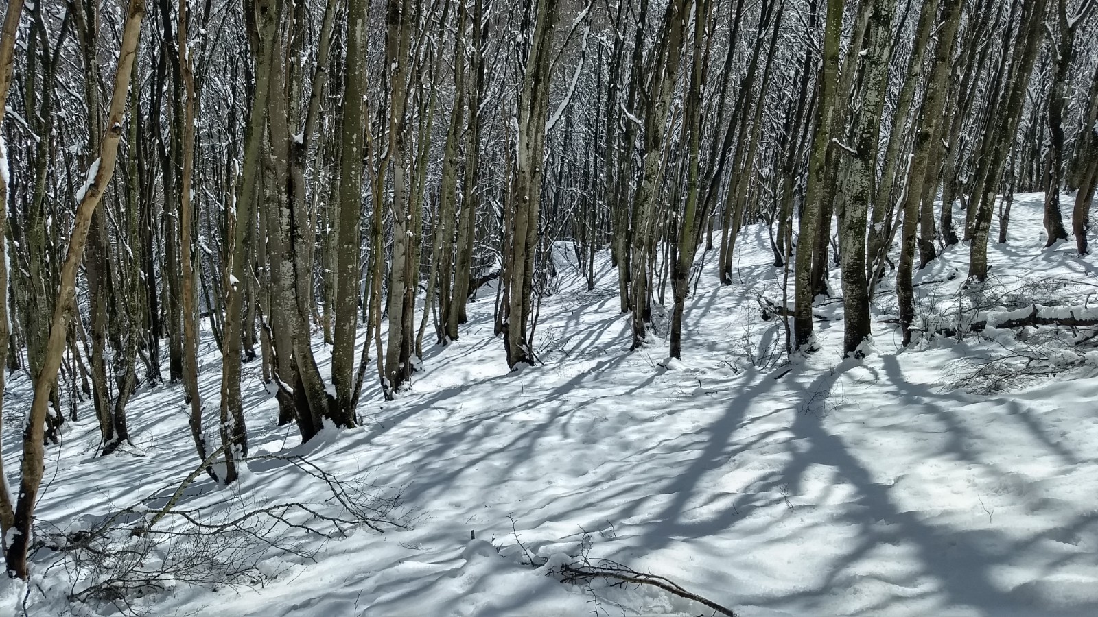 IMG_20220403_123145169_HDR