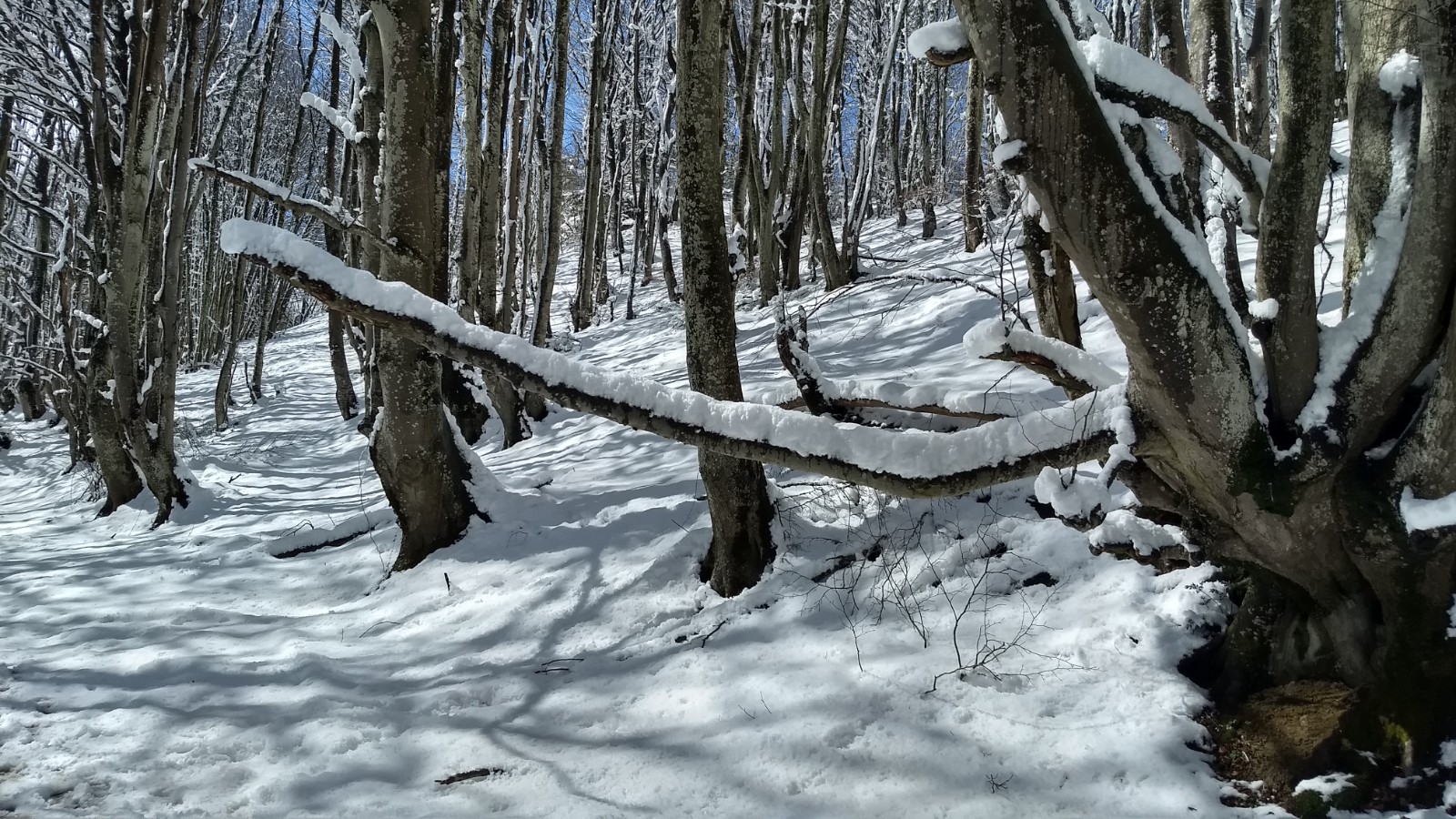 IMG_20220403_123149008_HDR