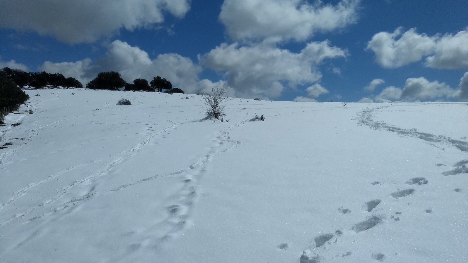 IMG_20220403_125041864