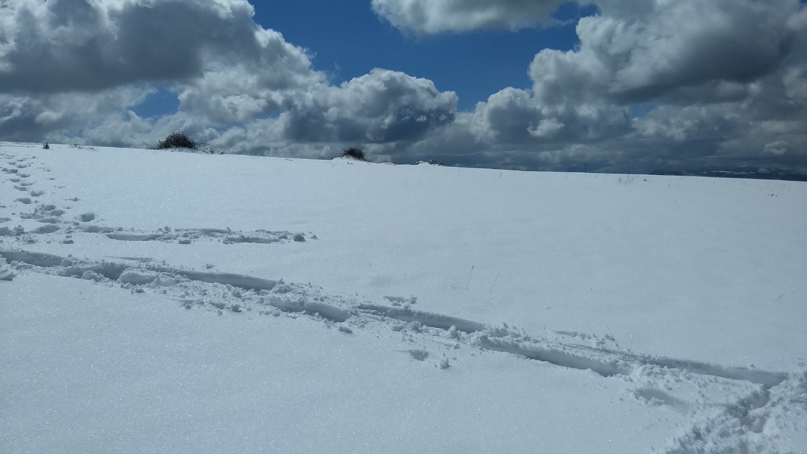 IMG_20220403_125044539