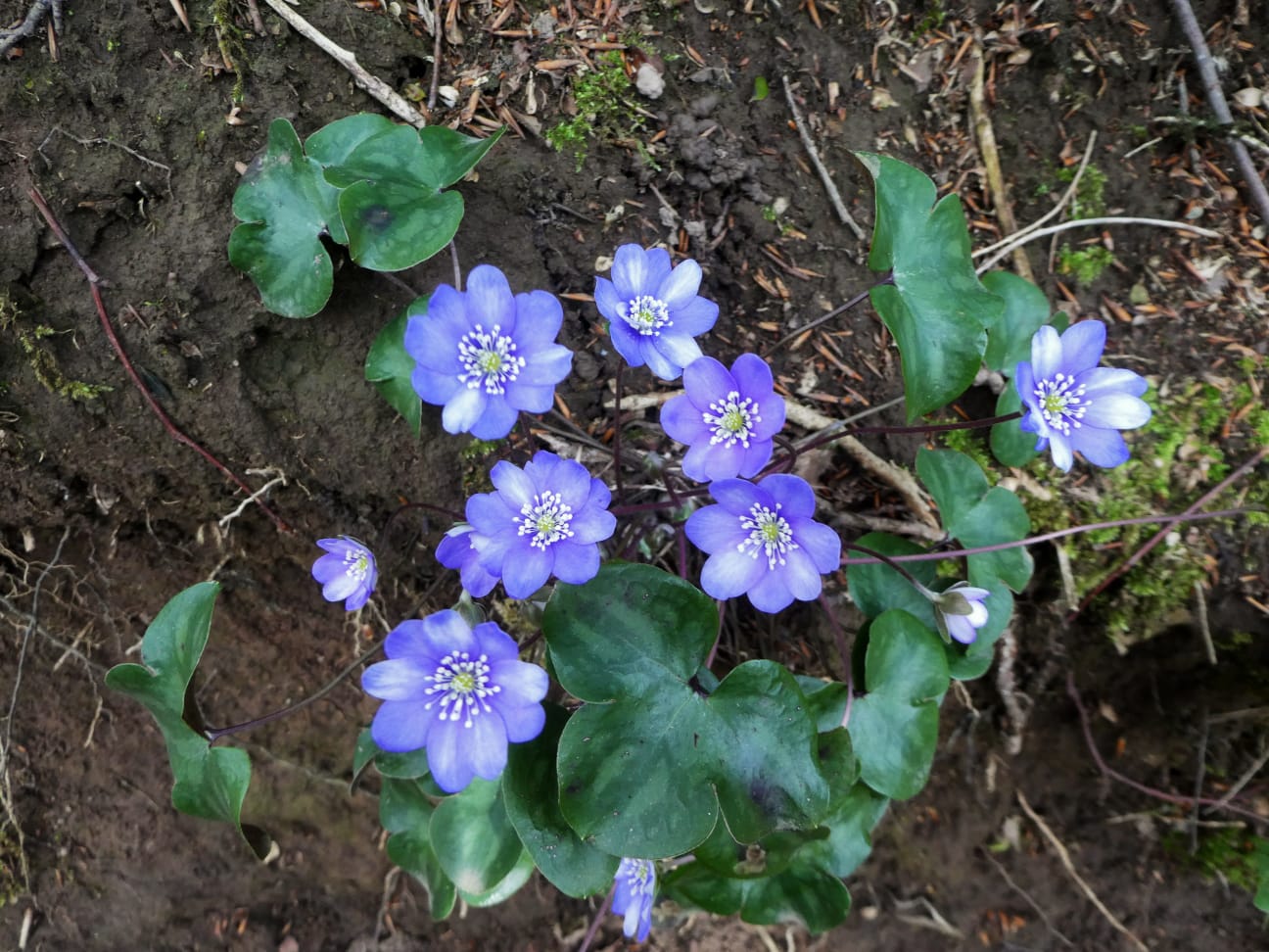 whatsapp-image-2020-02-16-at-19-20-31