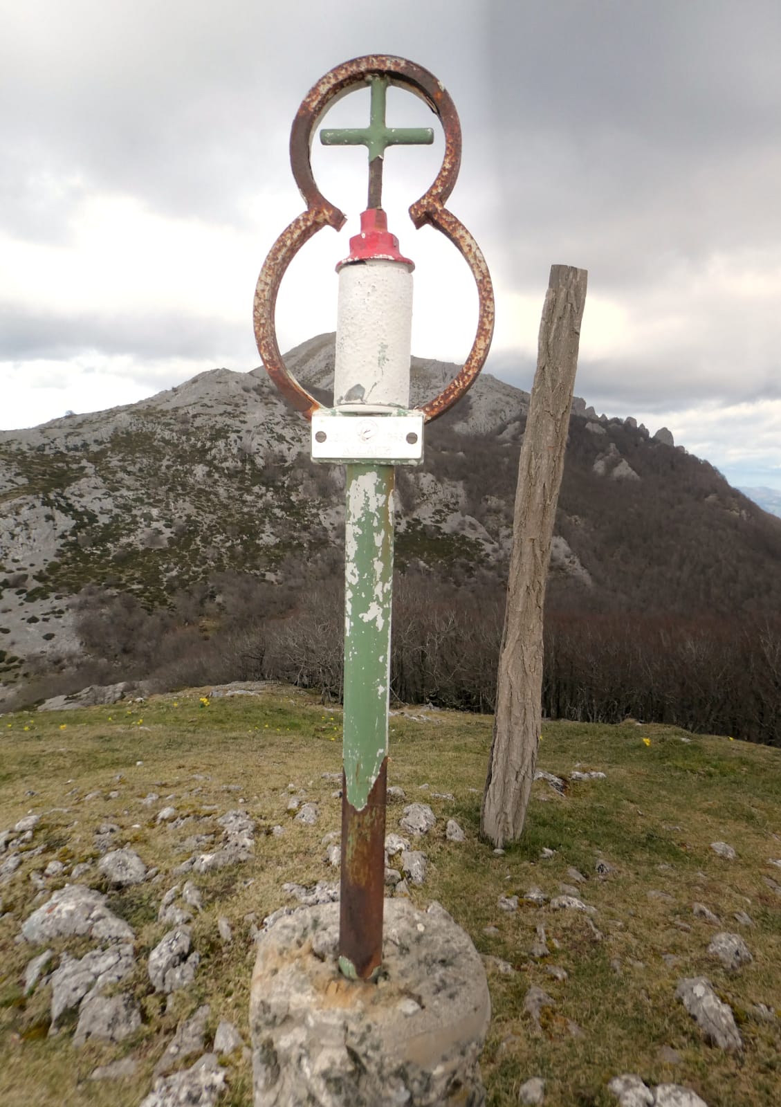 whatsapp-image-2020-03-01-at-19-26-37