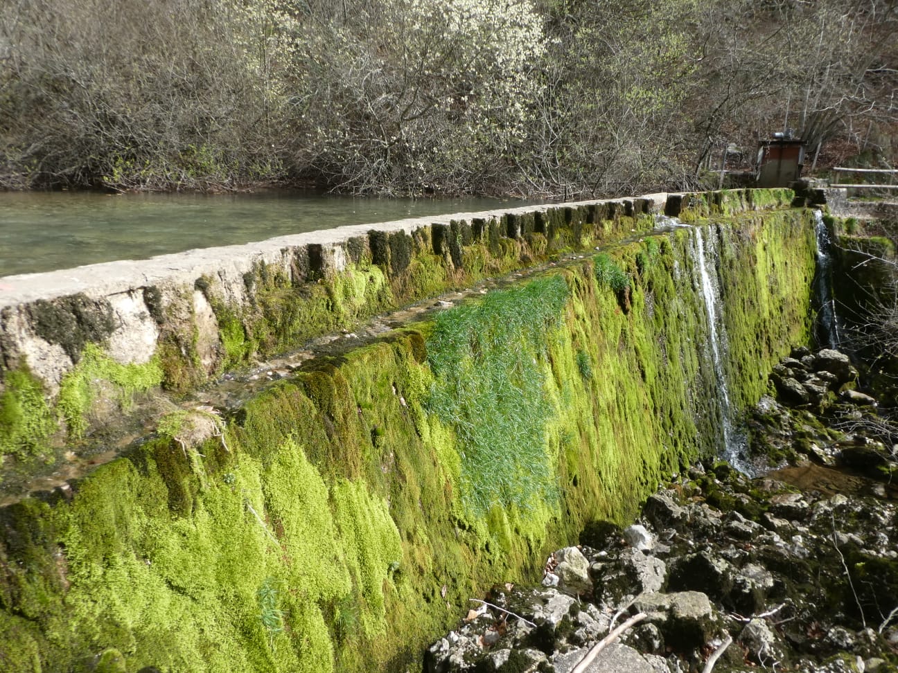 whatsapp-image-2020-03-01-at-19-27-10