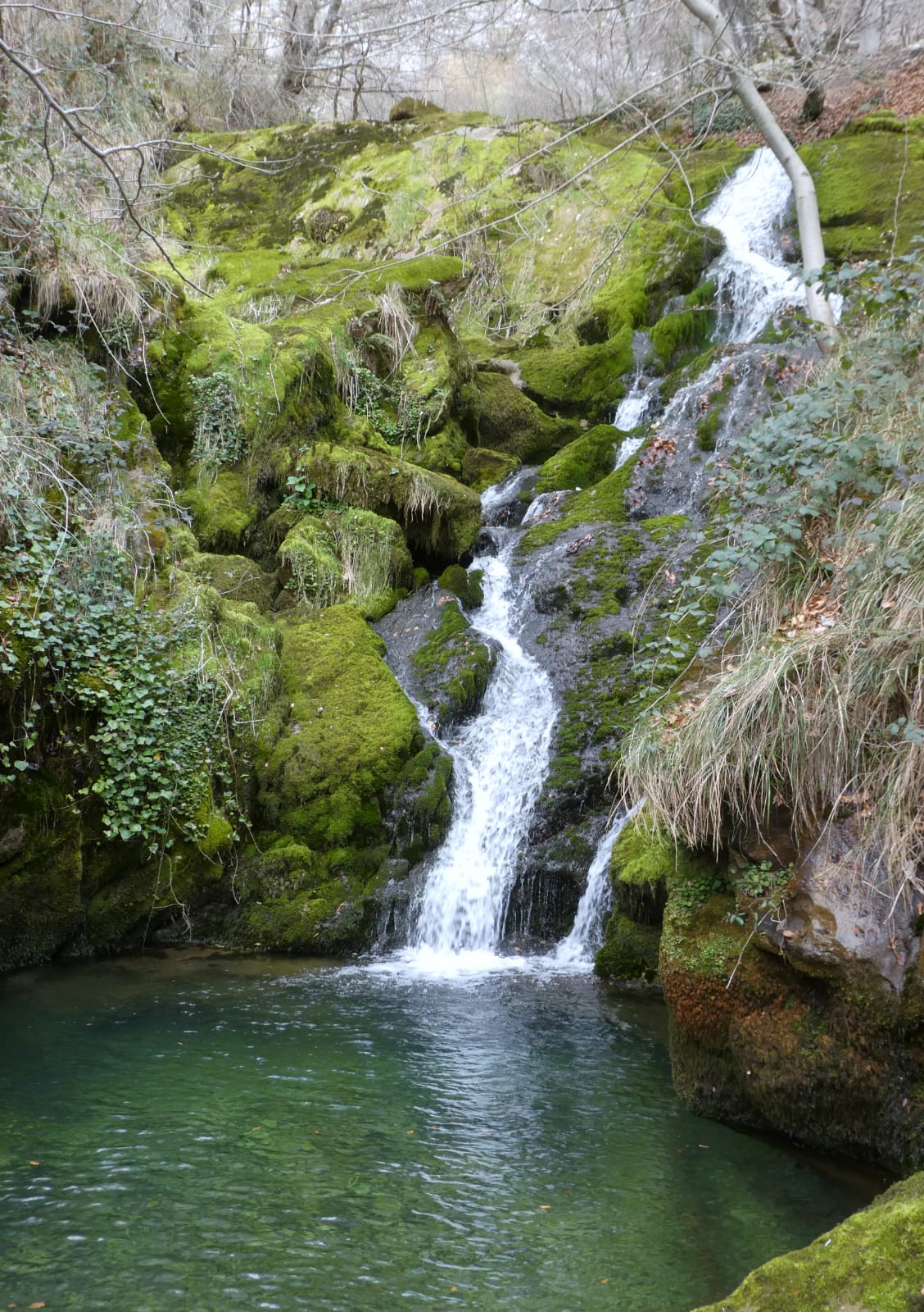 whatsapp-image-2020-03-01-at-19-27-11